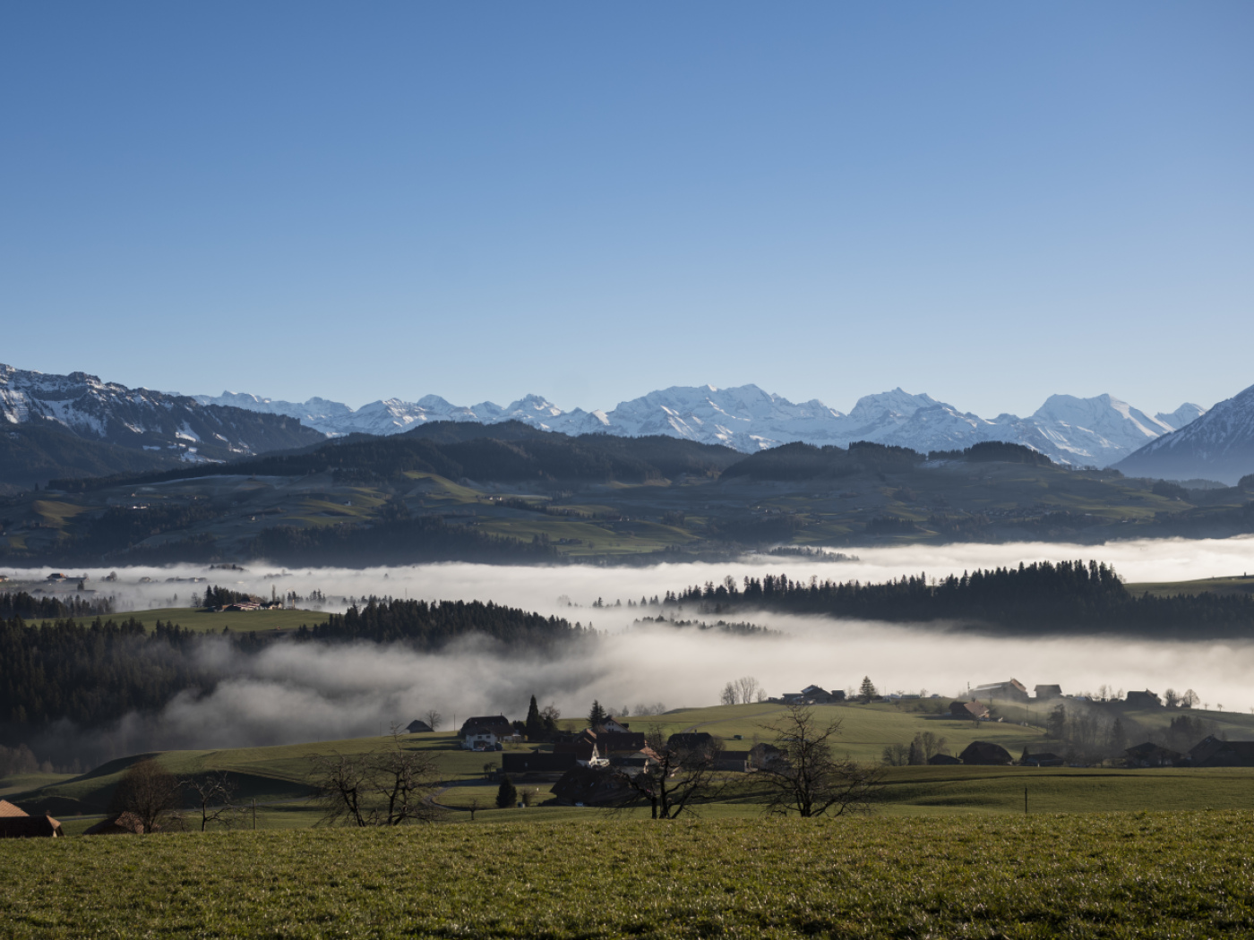 The state of biodiversity in Switzerland remains low and unsatisfactory
