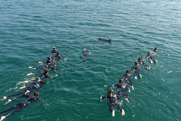 We float in two groups, towed by guides using aqua scooters.