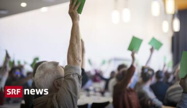 Grünen-Delegiertenversammlung - Grüne fassen Ja-Parole zur Individualbesteuerung - News