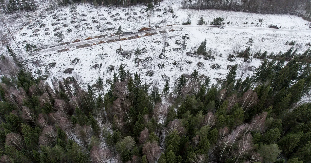Pooltel Eesti kinnistutel on piirid valed – inimesed peavad oma rahaga ümber mõõtma