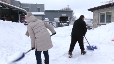 Sniegą kasa savanoriai