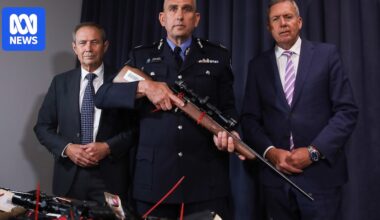 WA government calls for unity on firearm reforms as Liberal-led states reject national gun buyback
