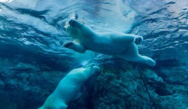 BTC hits fresh 2026 low as day's plunge continues