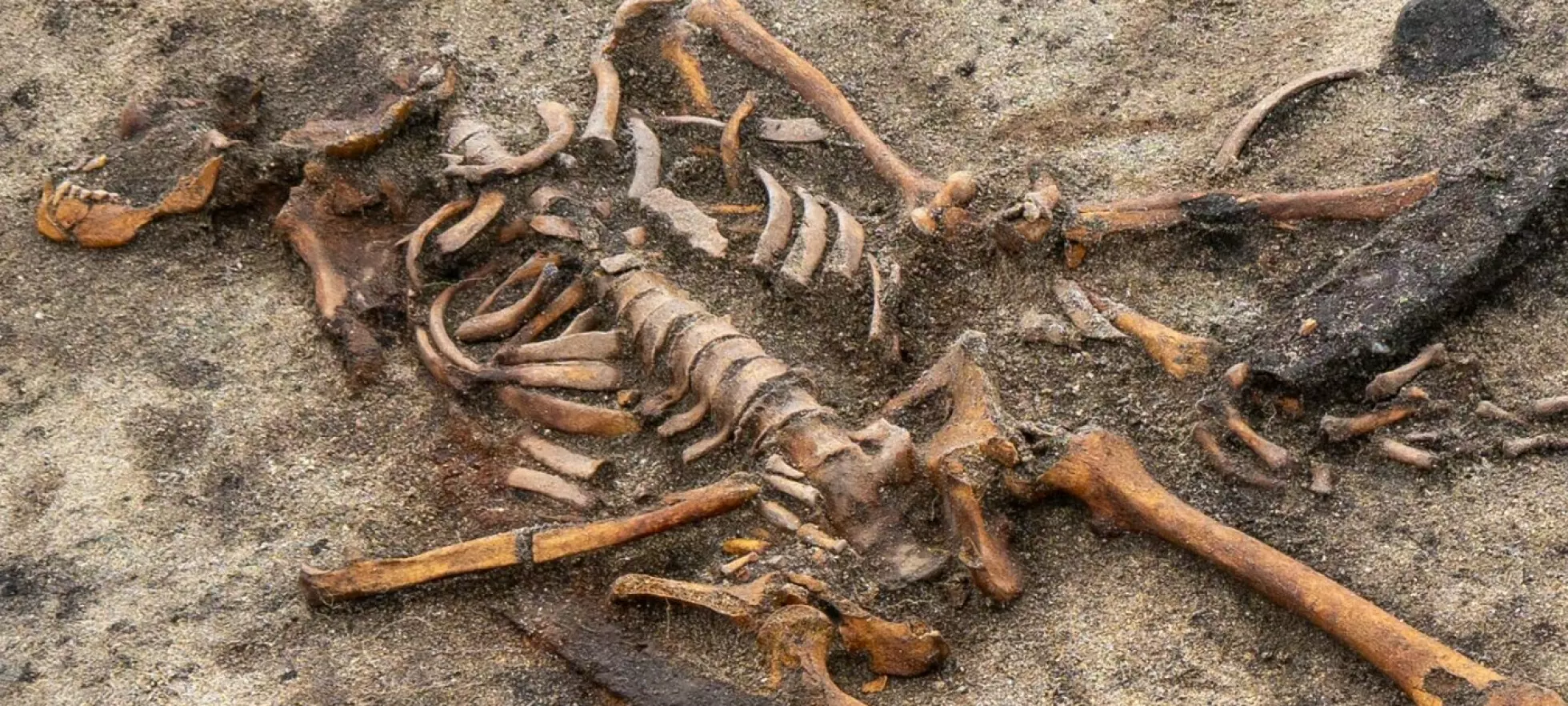 Norsk sensasjon: - Utrolig