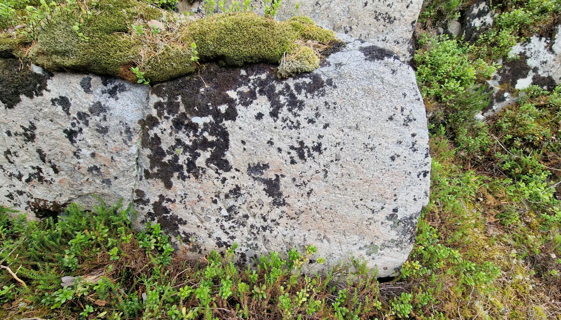 FØR: Her ser man berg med hellemalerier som hittil har vært ukjent. De er ikke lett å se uten digital redigering. Foto: Jan Magne Gjerde / NIKU