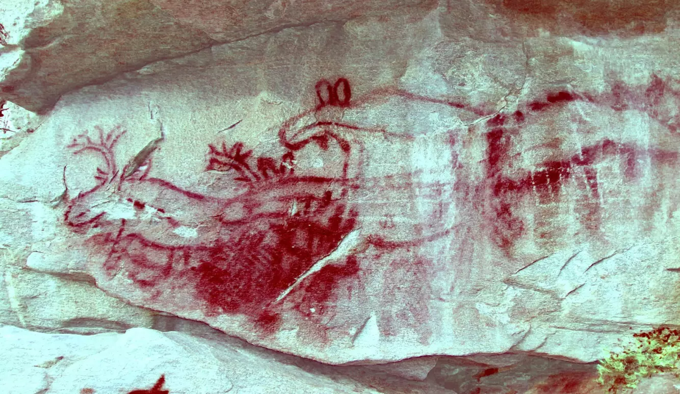 ETTER: Med moderne teknikk kommer fortida til syne - for mellom 5000 og 8000 år siden malte et menneske et stort bilde av elg og hjortedyr. Foto: Jan Magne Gjerde/NIKU