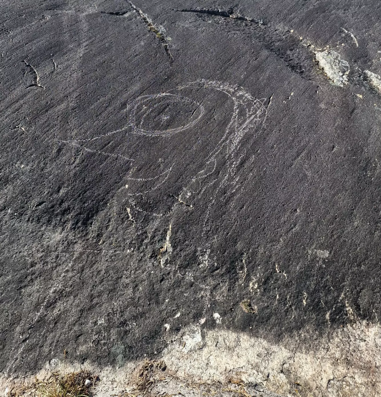 ØDELAGT: Ved et av de mest unike bergkunstfeltene i Nord-Europa er «Hakke Hakkespett» rissa kraftig inn i berget i Tysfjord i Nordland. Foto: Jan Magne Gjerde / NIKU
