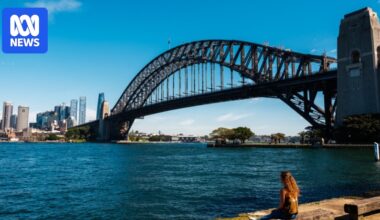 Bull shark tagging and extra drones for NSW beaches following attacks