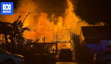 Alert canine saves residents as fire destroys Wynnum home