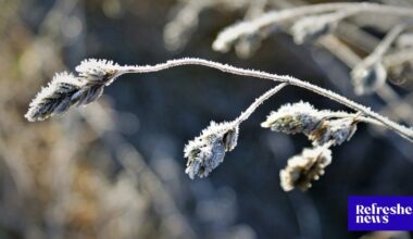 Na Slovensko príde ďalšia vlna krutej „ruskej zimy“. Udrú mrazy až takmer...