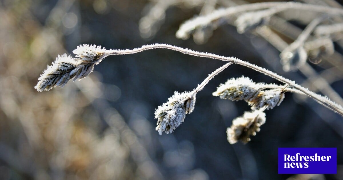 Na Slovensko príde ďalšia vlna krutej „ruskej zimy“. Udrú mrazy až takmer...