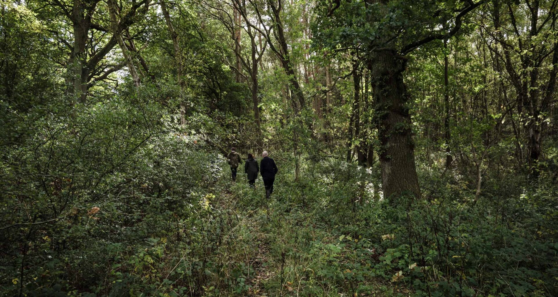 UK ‘largely off track’ on environmental targets, warns regulator