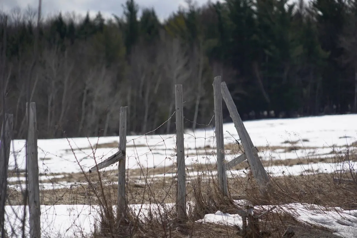 8 Haitian asylum seekers arrested in Hemmingford, Que.