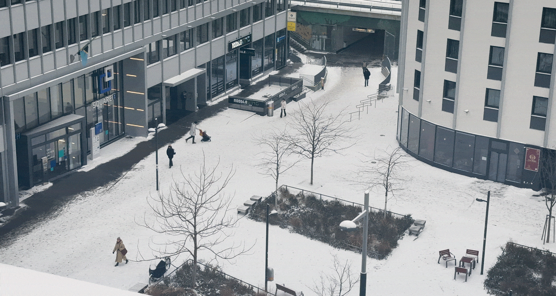 Schnee von heute: Ein Streifzug durch das winterliche Österreich
