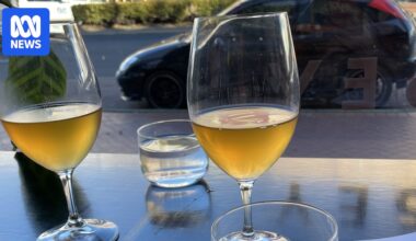 Wine Australia's export report for 2025 shows consumers sobering up as cost-of-living bites