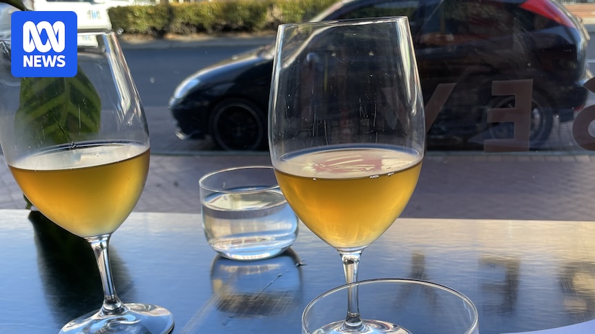 Wine Australia's export report for 2025 shows consumers sobering up as cost-of-living bites