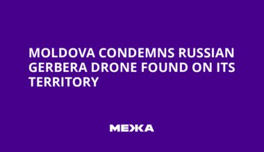 Moldova Condemns Russian Gerbera Drone Found on Its Territory