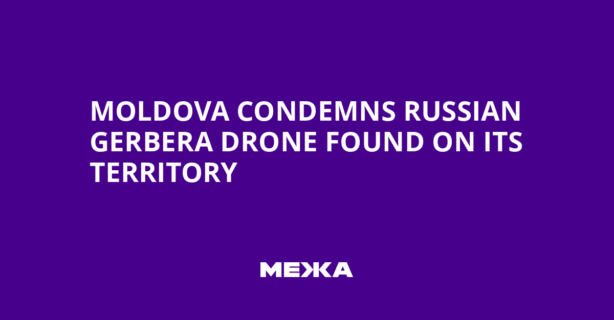 Moldova Condemns Russian Gerbera Drone Found on Its Territory