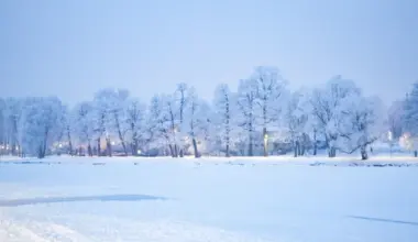 Mid-January in Latvia was eight degrees colder than usual