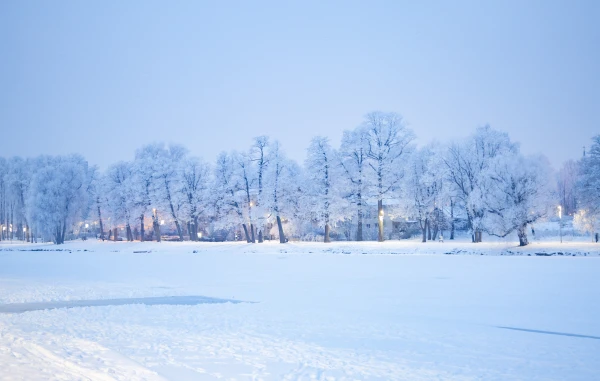 Mid-January in Latvia was eight degrees colder than usual