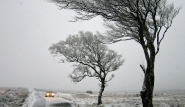 Meteorologists issue Yellow Code of strong wind in Moldova