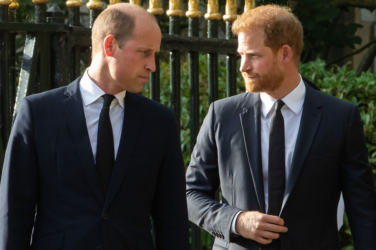 Prince William and Prince Harry