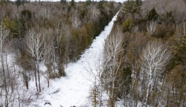 Asylum seekers deported to U.S. following Christmas Day crossing into Quebec