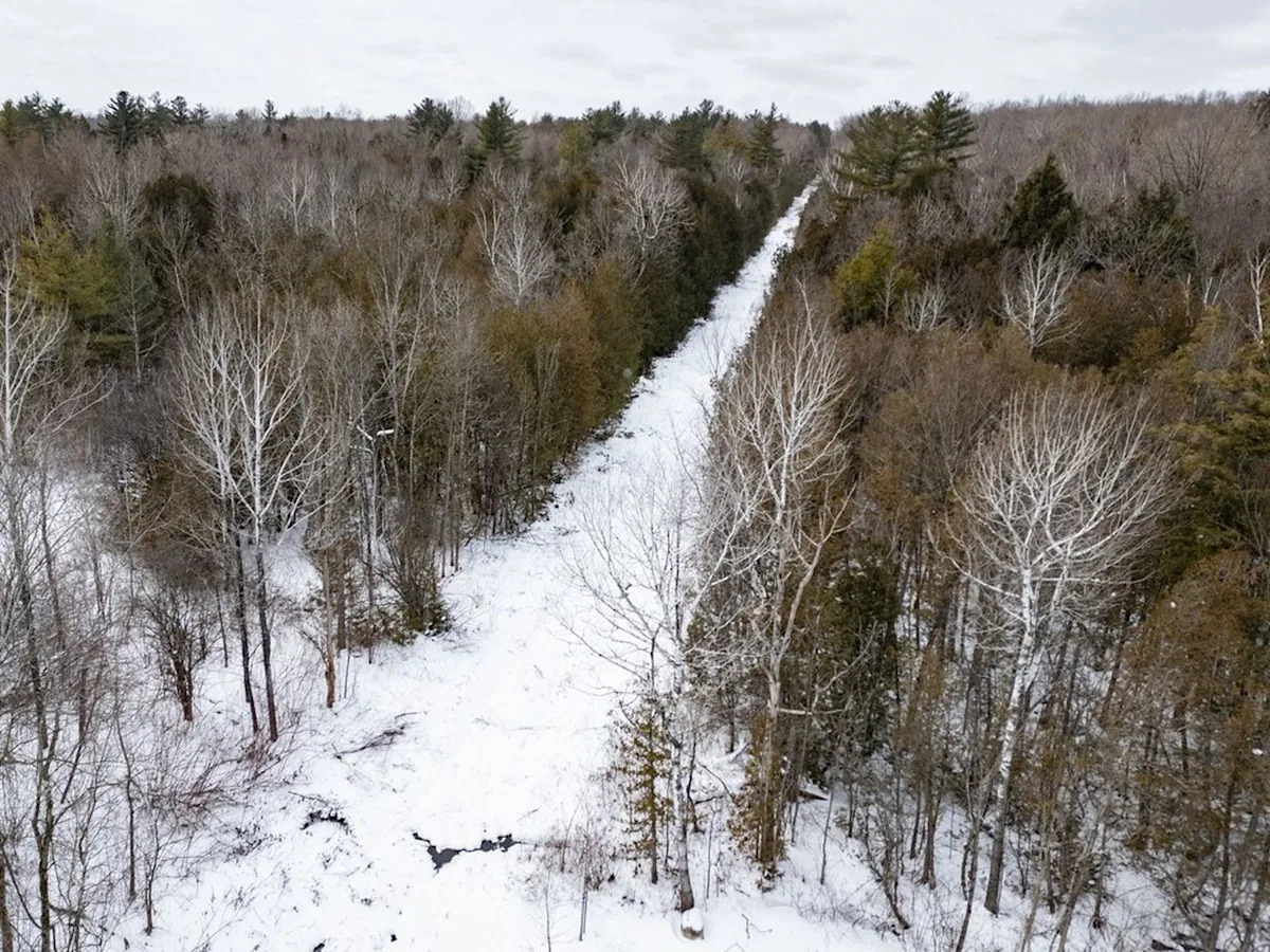 Asylum seekers deported to U.S. following Christmas Day crossing into Quebec
