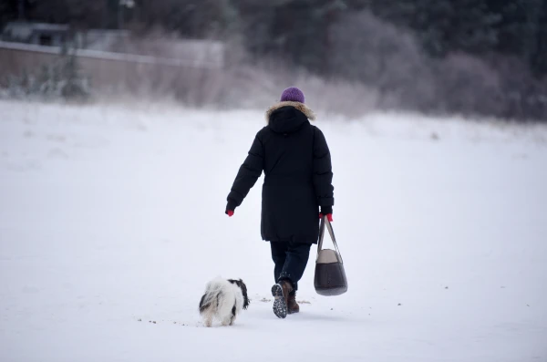 A Powerful Snowfall is Coming to Latvia