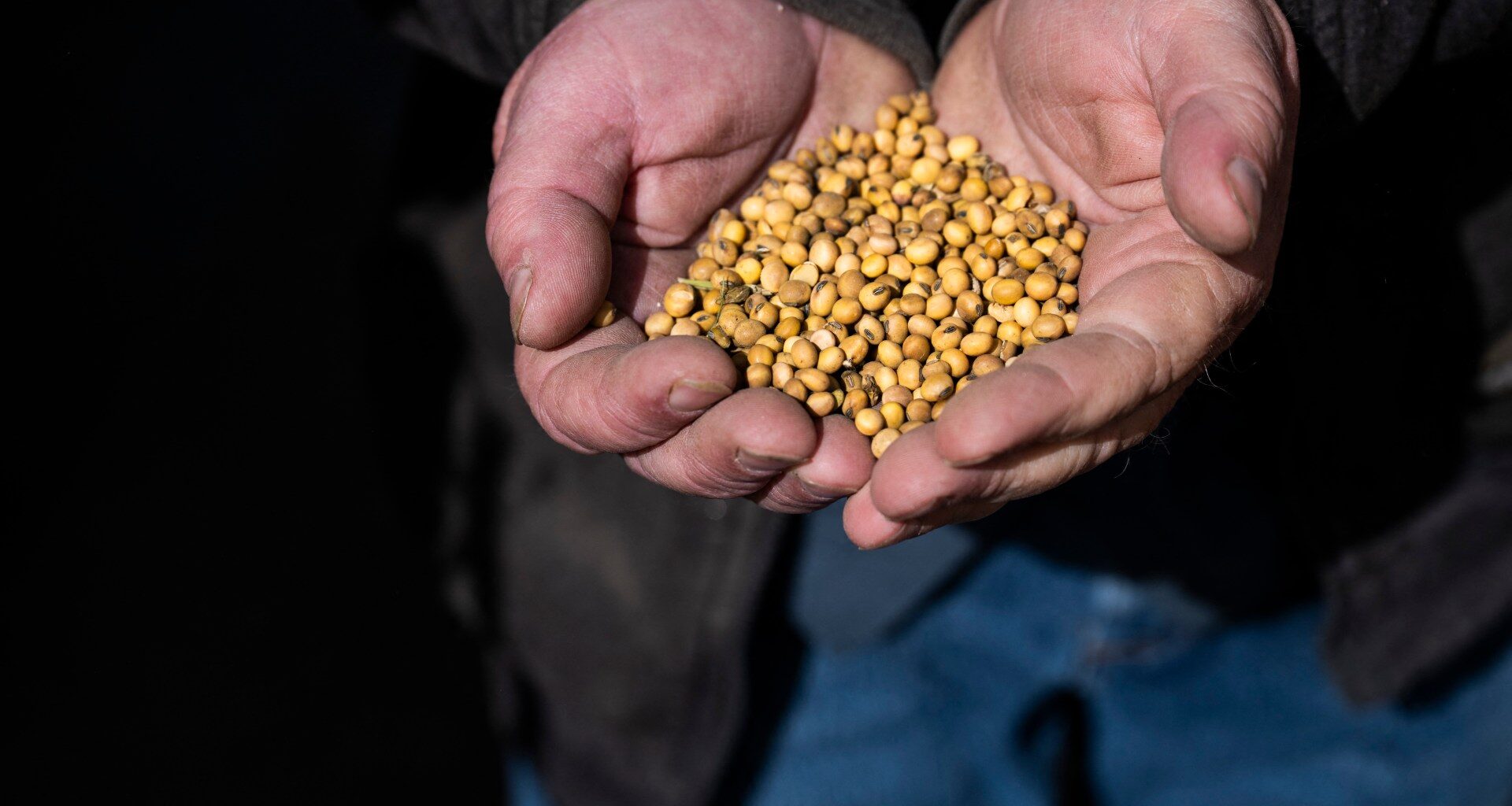 US soya bean farmers battered by trade dispute with China | Trade War News