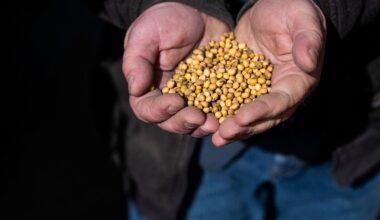 US soya bean farmers battered by trade dispute with China | Trade War News
