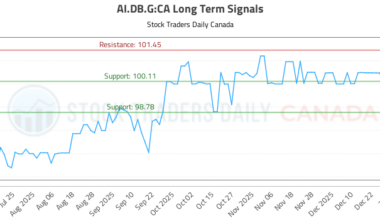 (AI.DB.G) Investment Analysis
