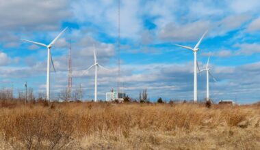 Court says Trump illegally blocked clean energy grants to Democratic states | Donald Trump News