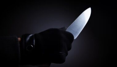 Teen brothers in armed group that stormed Hamilton flat and robbed victims at knifepoint sent to prison