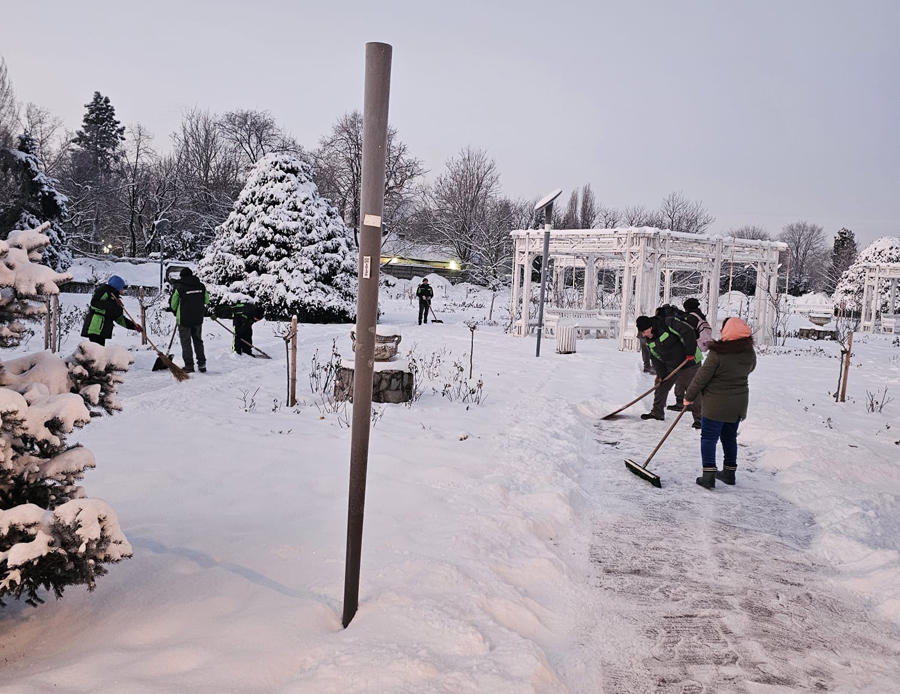 La Timișoara continuă operațiunile de deszăpezire | TIMPOLIS