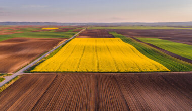 Canada-China Trade Reset Signals New Opportunities for Canadian Seed and Canola Exports