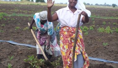 Excluding Food Systems From Climate Deal Is a Recipe for Disaster — Global Issues