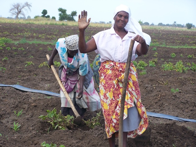 Excluding Food Systems From Climate Deal Is a Recipe for Disaster — Global Issues