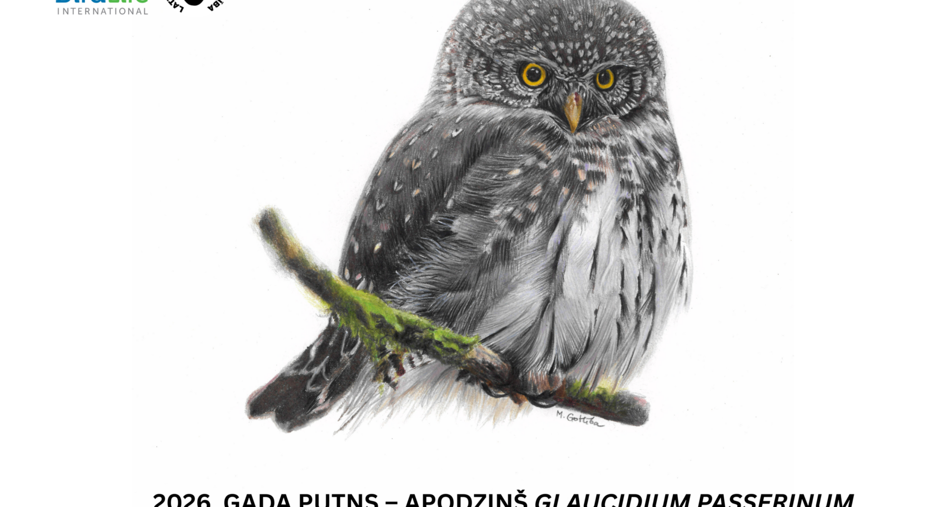 Piedalies Latvijas Ornitoloģijas biedrības radošo darbu konkursā!