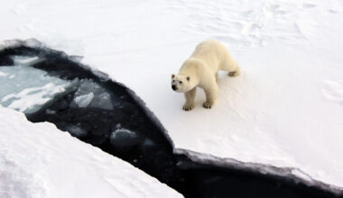 Arctic ‘deep water’ is surprisingly well protected against climate change — for now