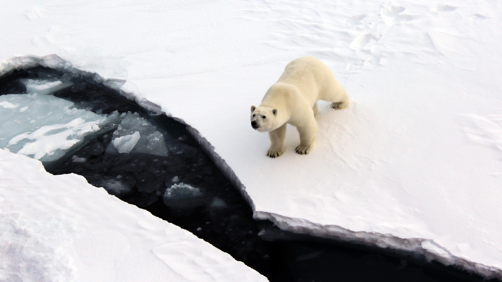 Arctic ‘deep water’ is surprisingly well protected against climate change — for now