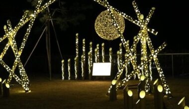 Gentle bamboo illuminations highlight scenic coastal beauty near Misawa AB