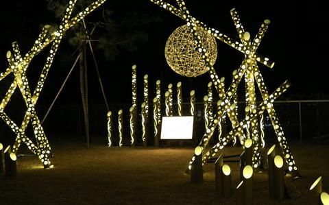 Gentle bamboo illuminations highlight scenic coastal beauty near Misawa AB