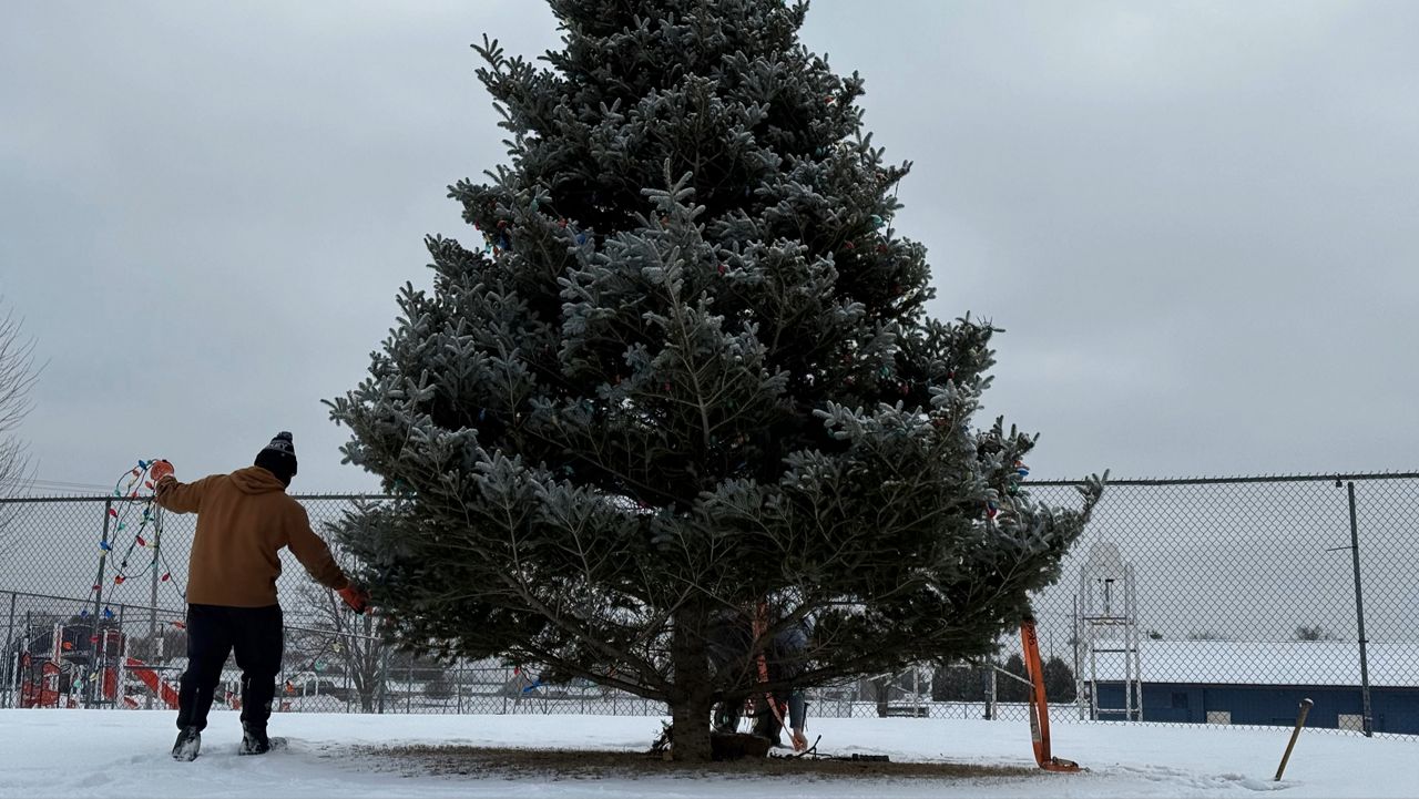 Brewer Public Works employee Hunter Merrithew begins dismantling a public Christmas tree. (Spectrum news/David Ledford)