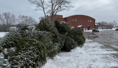 A pile of Christmas trees outside of the Brewer Auditorium. (Spectrum News/David Ledford)