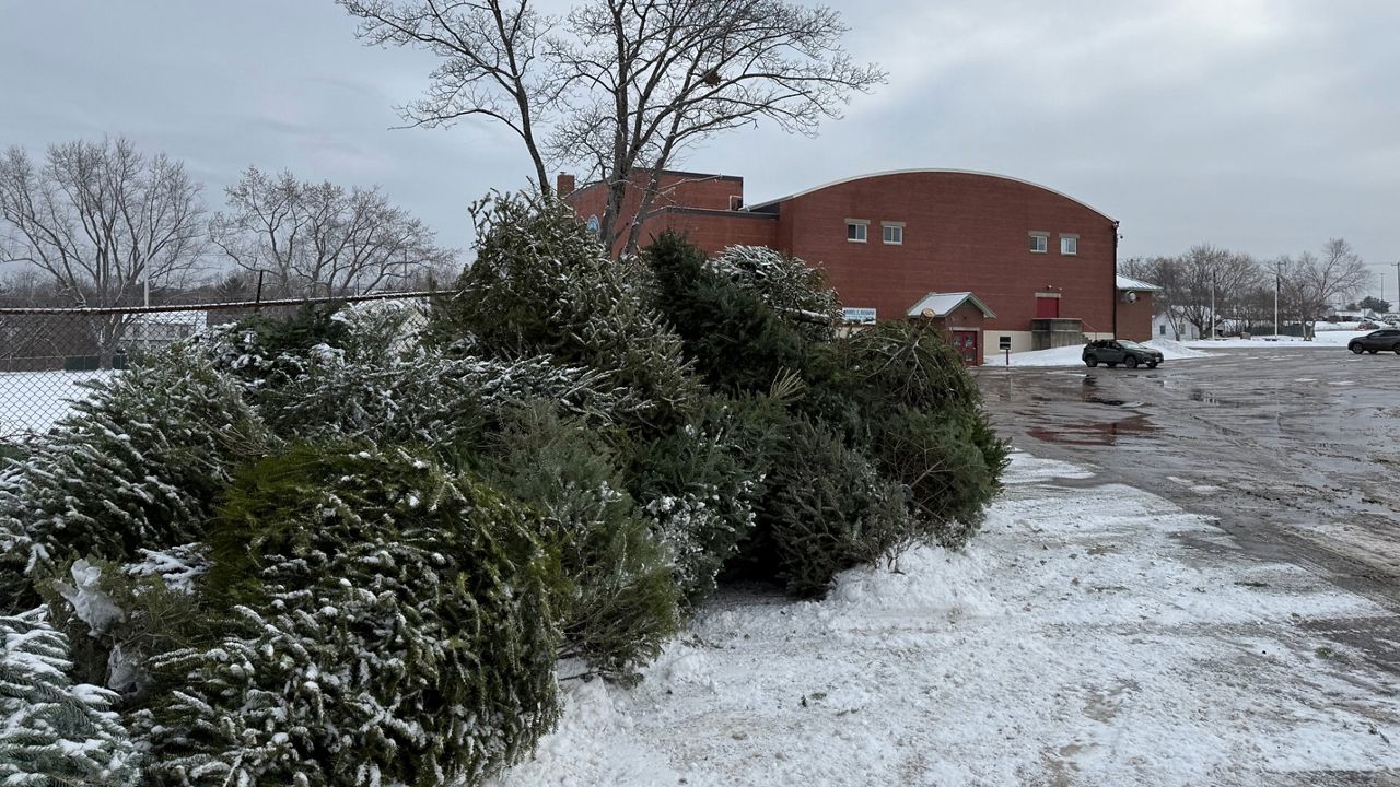 A pile of Christmas trees outside of the Brewer Auditorium. (Spectrum News/David Ledford)