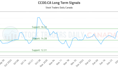 (CCOE) Stock Market Analysis