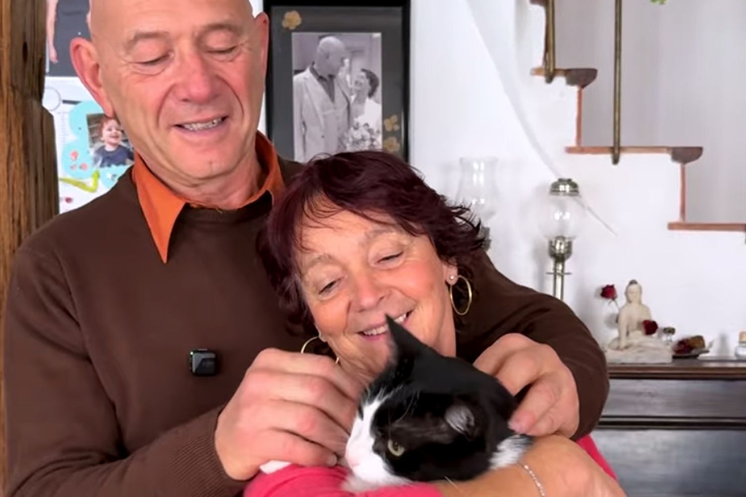 Lost in Spain, Cat Travels 155 Miles to Reunite With Owners in France