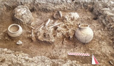 Human skeletal remains discovered at Çayönü Tepesi in the Ergani district of Diyarbakır are being analyzed at Hacettepe University to investigate the genetic makeup of Neolithic and Bronze Age communities. Credit: AA