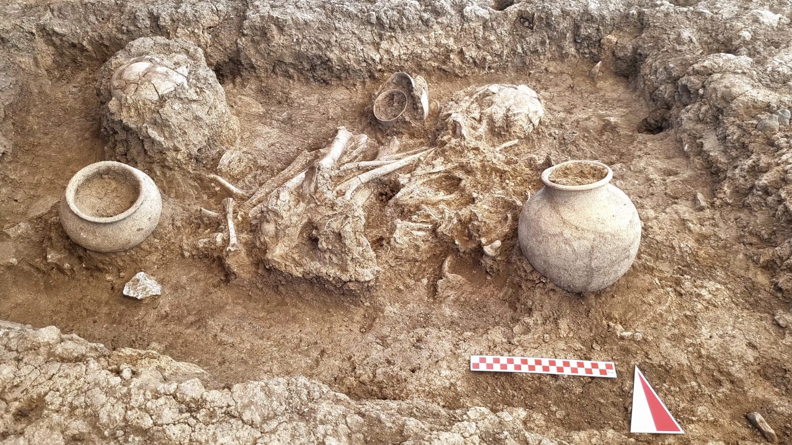 Human skeletal remains discovered at Çayönü Tepesi in the Ergani district of Diyarbakır are being analyzed at Hacettepe University to investigate the genetic makeup of Neolithic and Bronze Age communities. Credit: AA